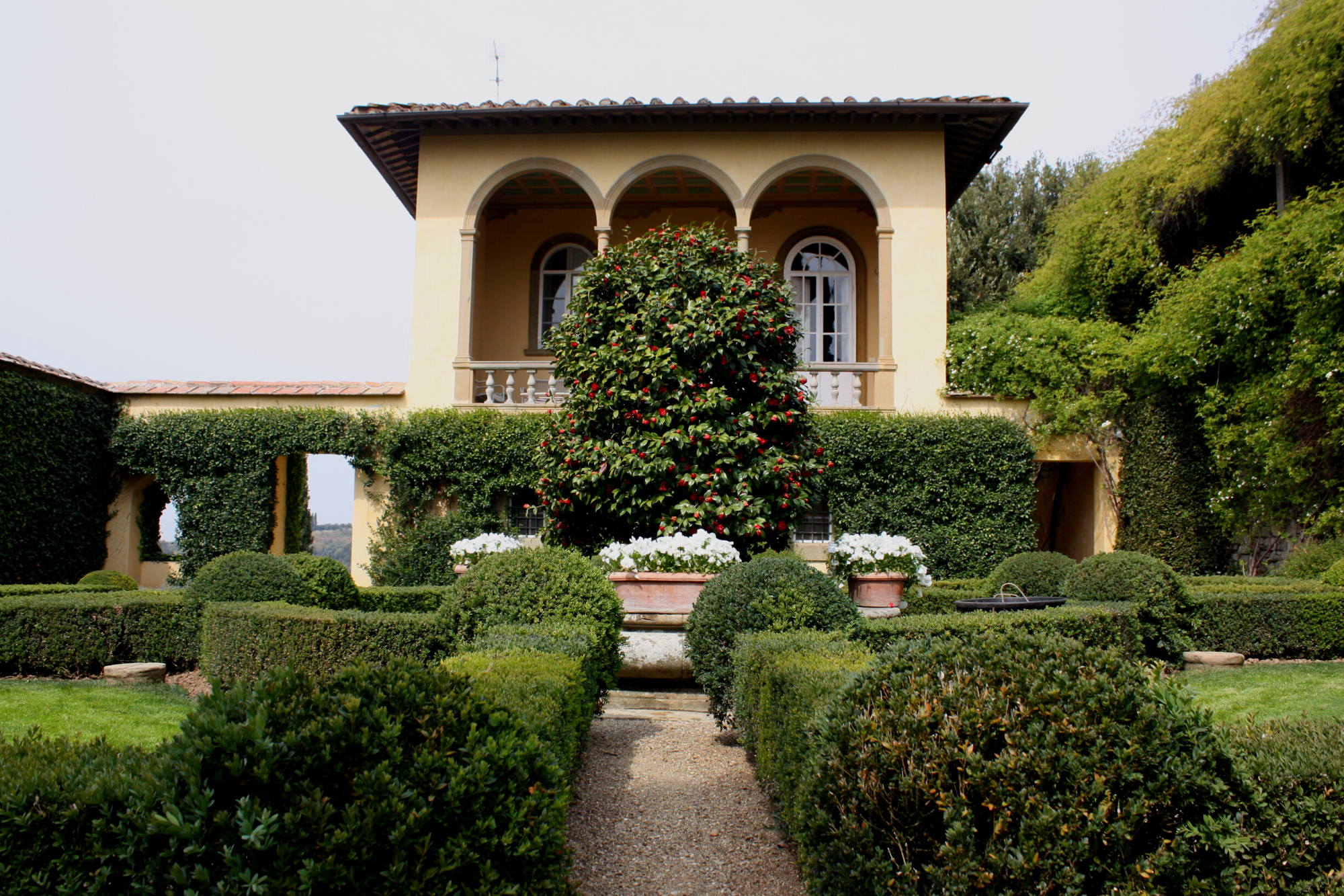 Villa Le Balze from the Lemon Garden during springtime.
